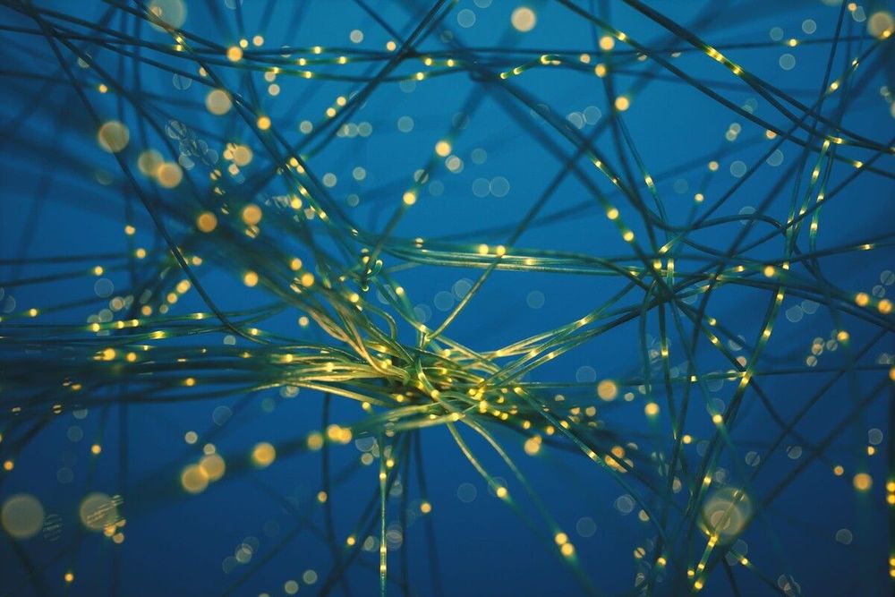 Wie lässt sich das vegetative Nervensystem heilen und wieder ins Gleichgewicht bringen?